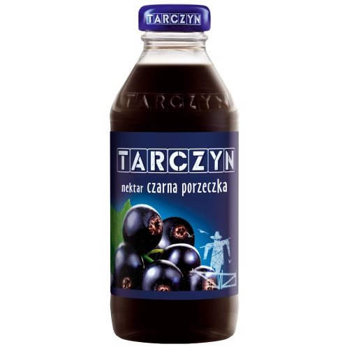 Nektar czarna porzeczka 300ml TARCZYN