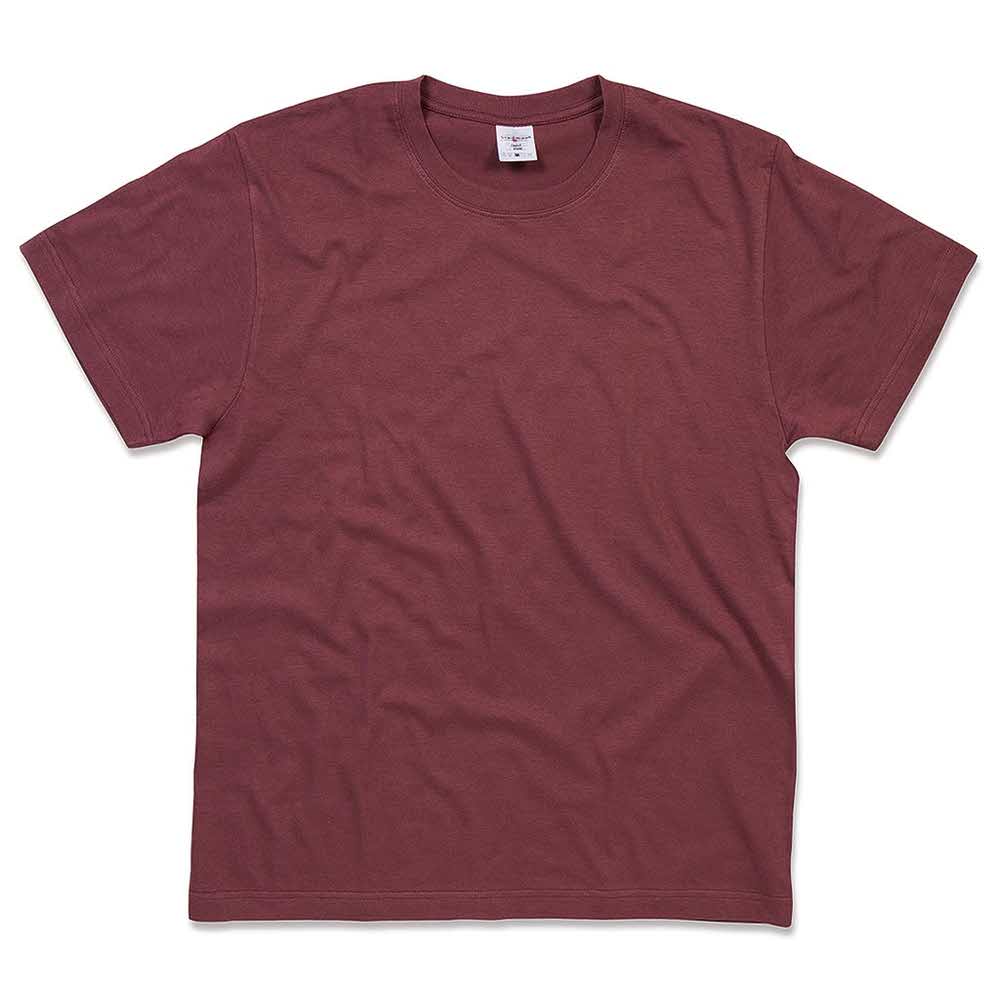 T Shirt 2 alibiuro.pl T SHIRT MĘSKI SST2000_BGRS 84