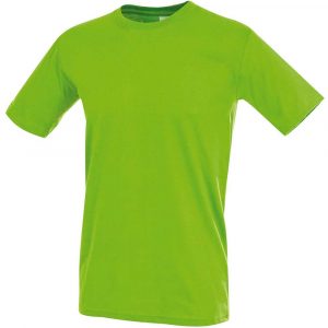 artykuły BHP 2 alibiuro.pl T SHIRT MĘSKI SST2010_KIWS 1