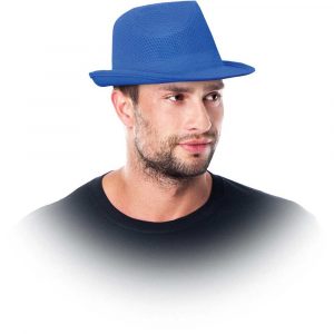 kaski 2 alibiuro.pl KAPELUSZ HAT_N 71