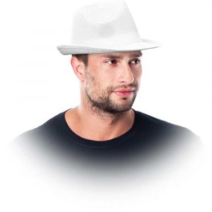 kaski 2 alibiuro.pl KAPELUSZ HAT_W 2