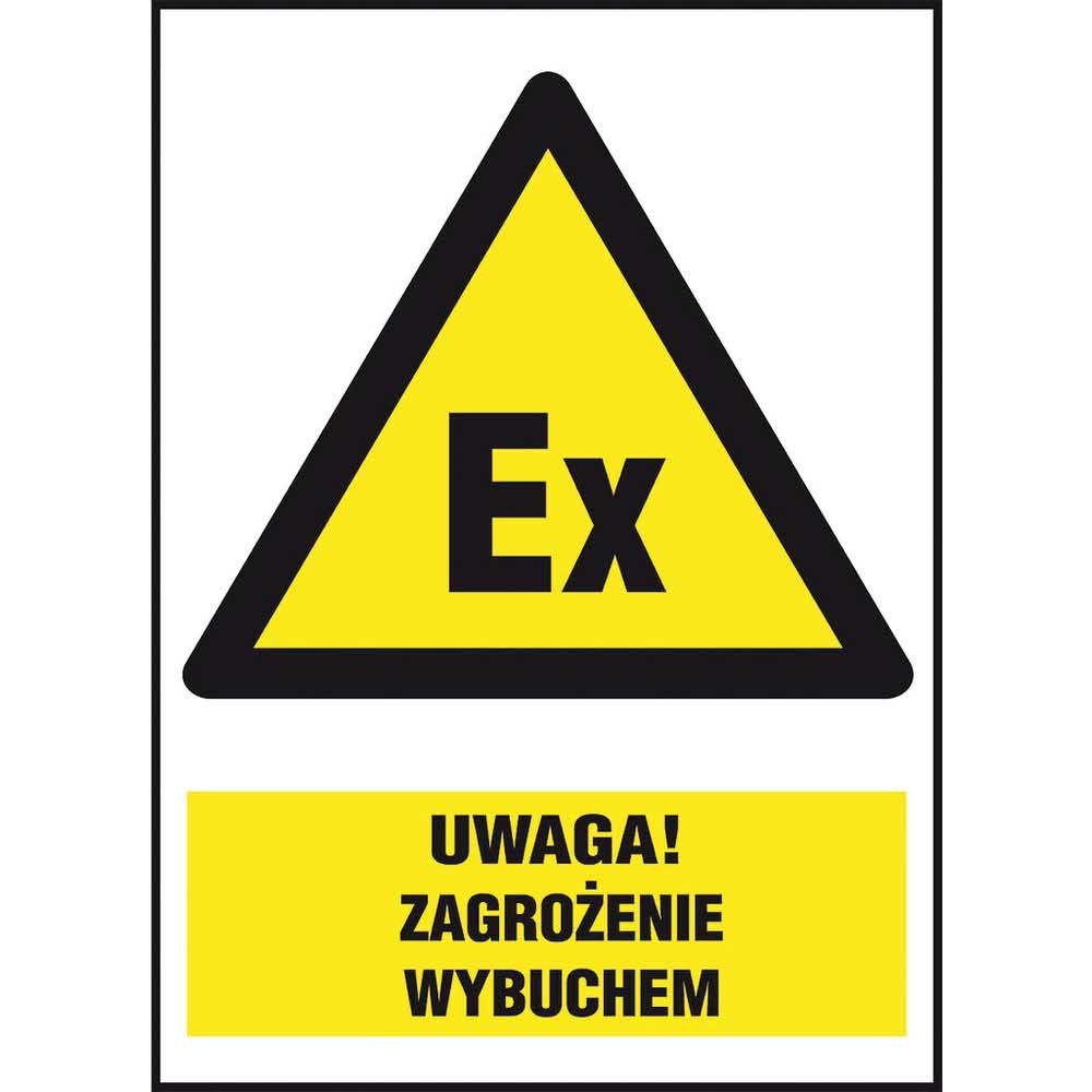 oznakowanie 2 alibiuro.pl ZNAK BEZPIECZEŃSTWA Z 32O1 P 220x300 49