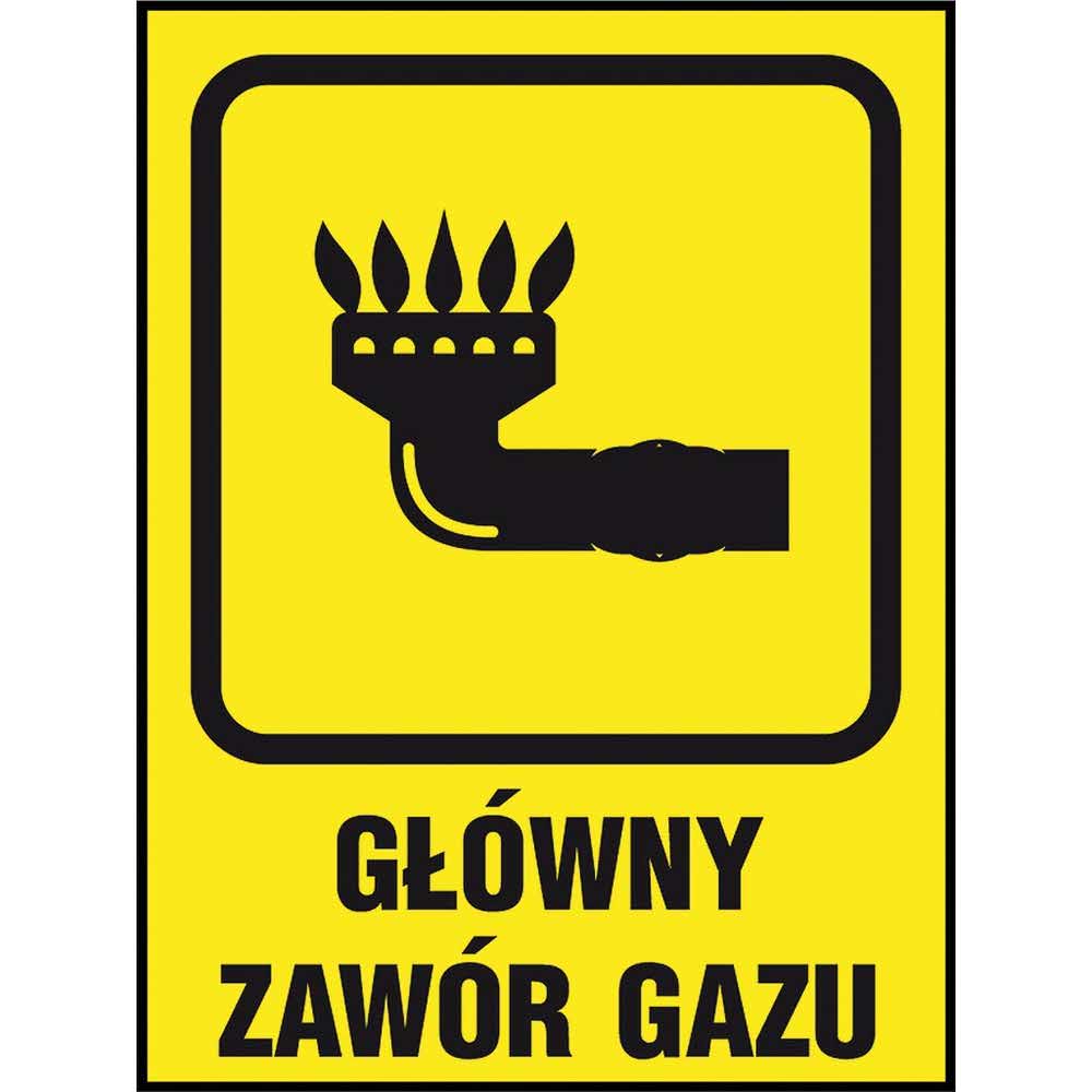 piktogramy 2 alibiuro.pl ZNAK BEZPIECZEŃSTWA Z 36G P 150x205 13