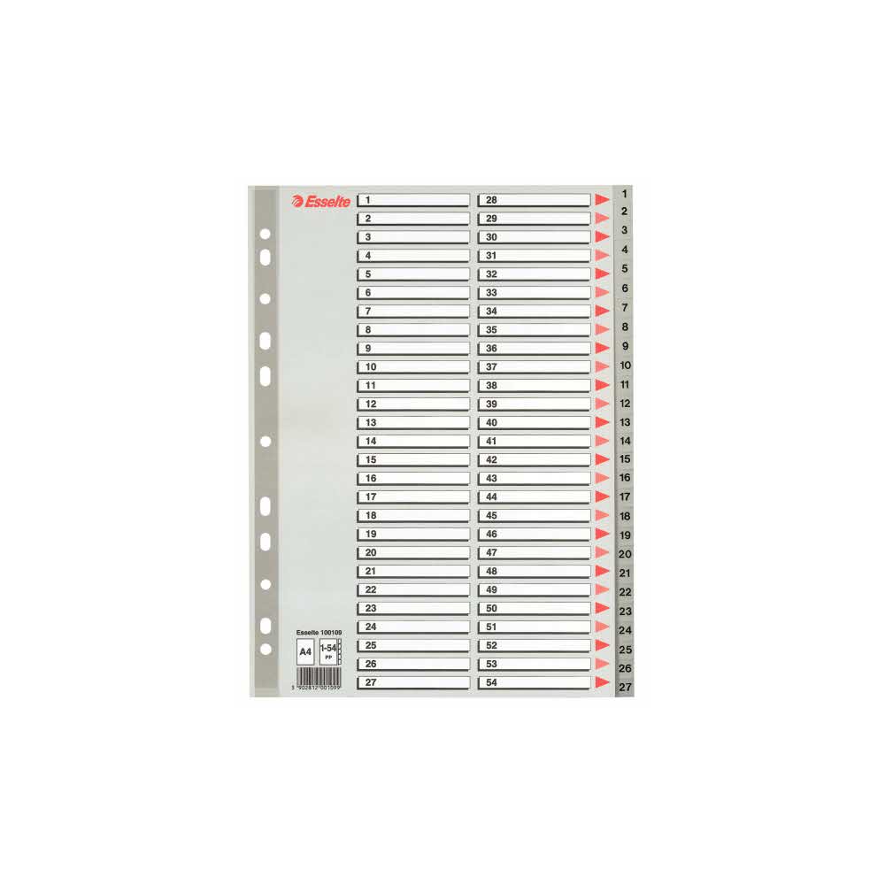 przekładki archiwizacyjne 5 alibiuro.pl Przekładki Esselte z PP A4 szary 99