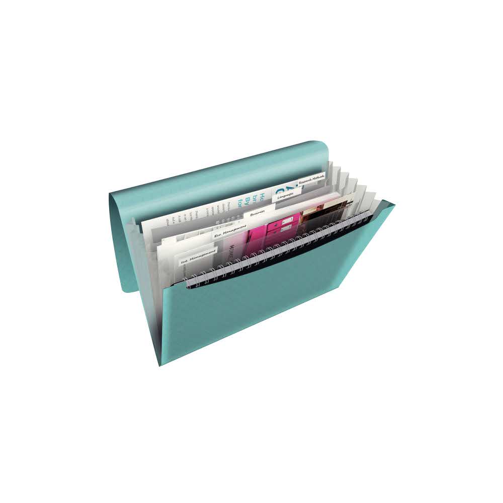 teczka kopertowa 5 alibiuro.pl Teczka z przegródkami Esselte Colour Inch Ice niebieski 17