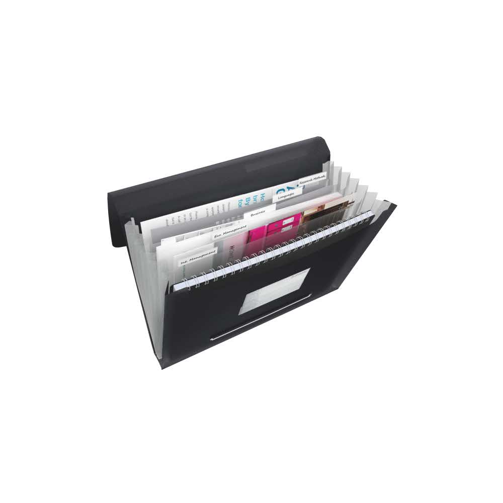 teczka kopertowa 5 alibiuro.pl Teczka z przegródkami Esselte VIVIDA vivida czarny 18