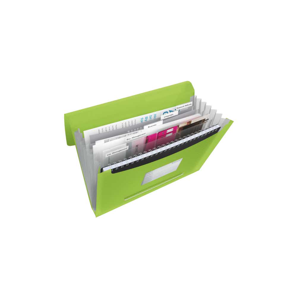teczka na rysunki 5 alibiuro.pl Teczka z przegródkami Esselte VIVIDA vivida zielony 48