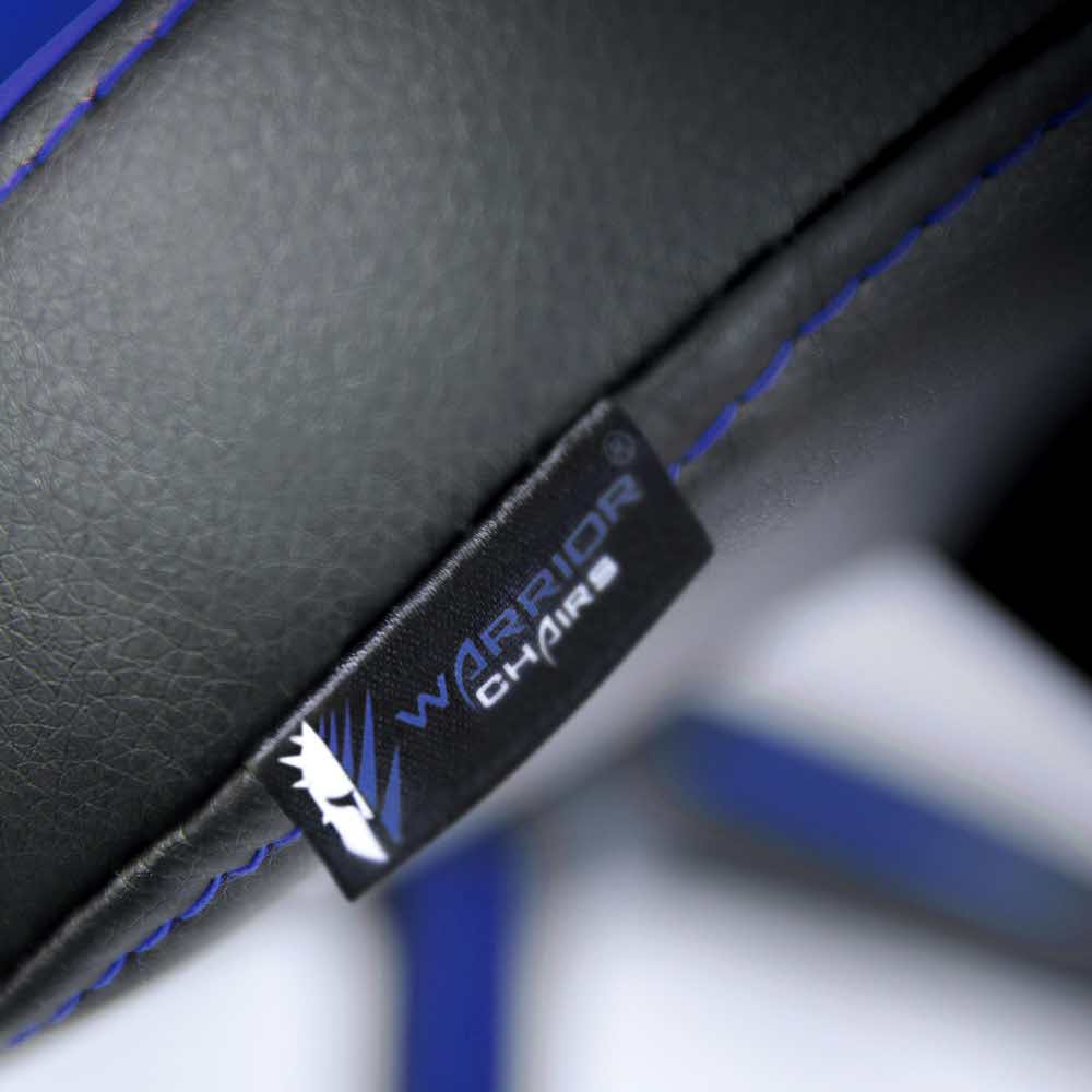 zaopatrzenie dla biura 7 alibiuro.pl Fotel gamingowy WARRIOR CHAIRS Dragon 5903293761045 kolor niebieski 2