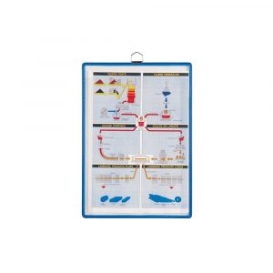 panel do zapisów kontrolnych z uszkiem tarifold a4 5 sztniebieski alibiuro.pl 44