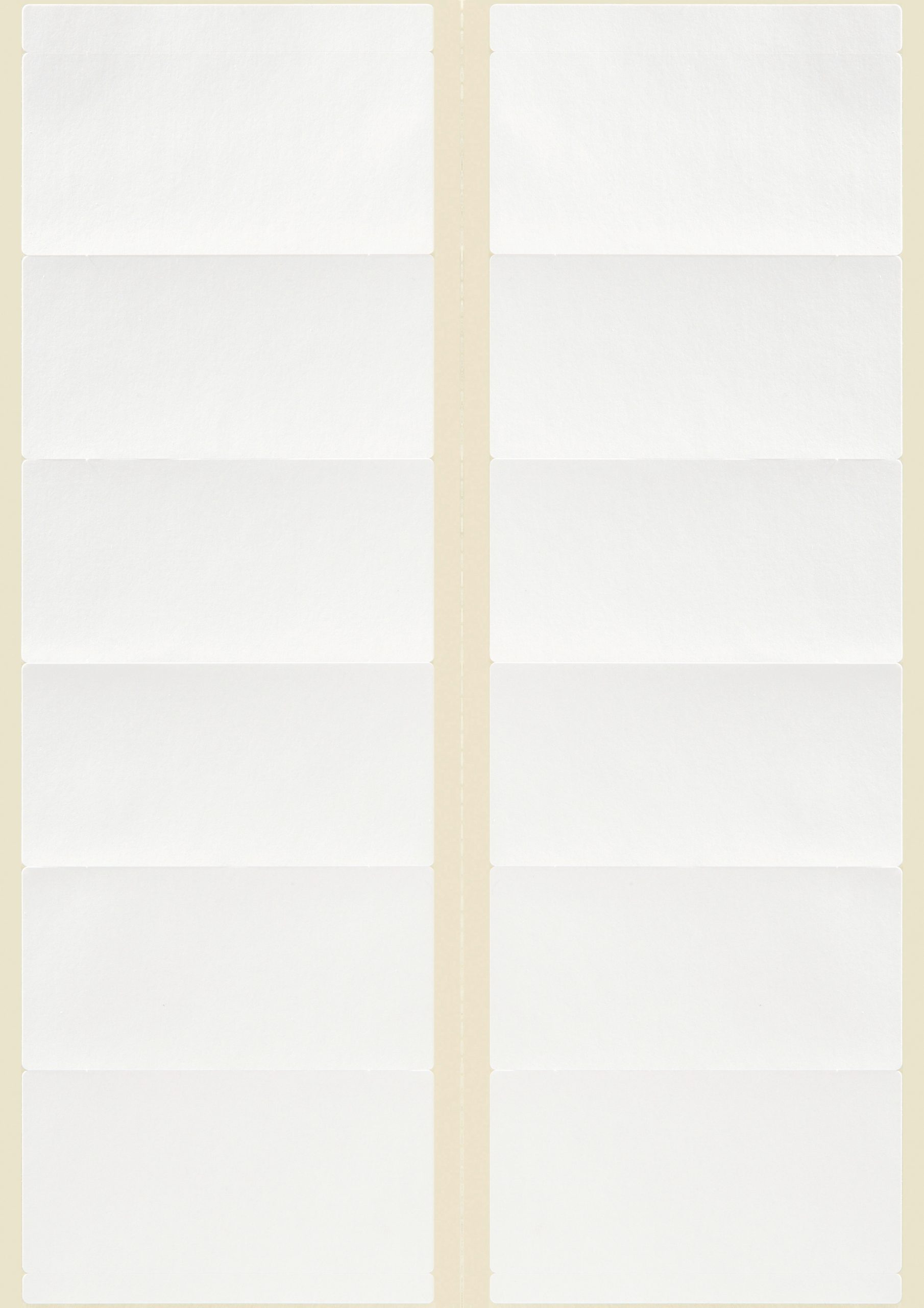 Etykiety adresowe białe Avery Zweckform; do drukarek igłowych; 240 etyk./op., 95 x 47 mm - obrazek 2