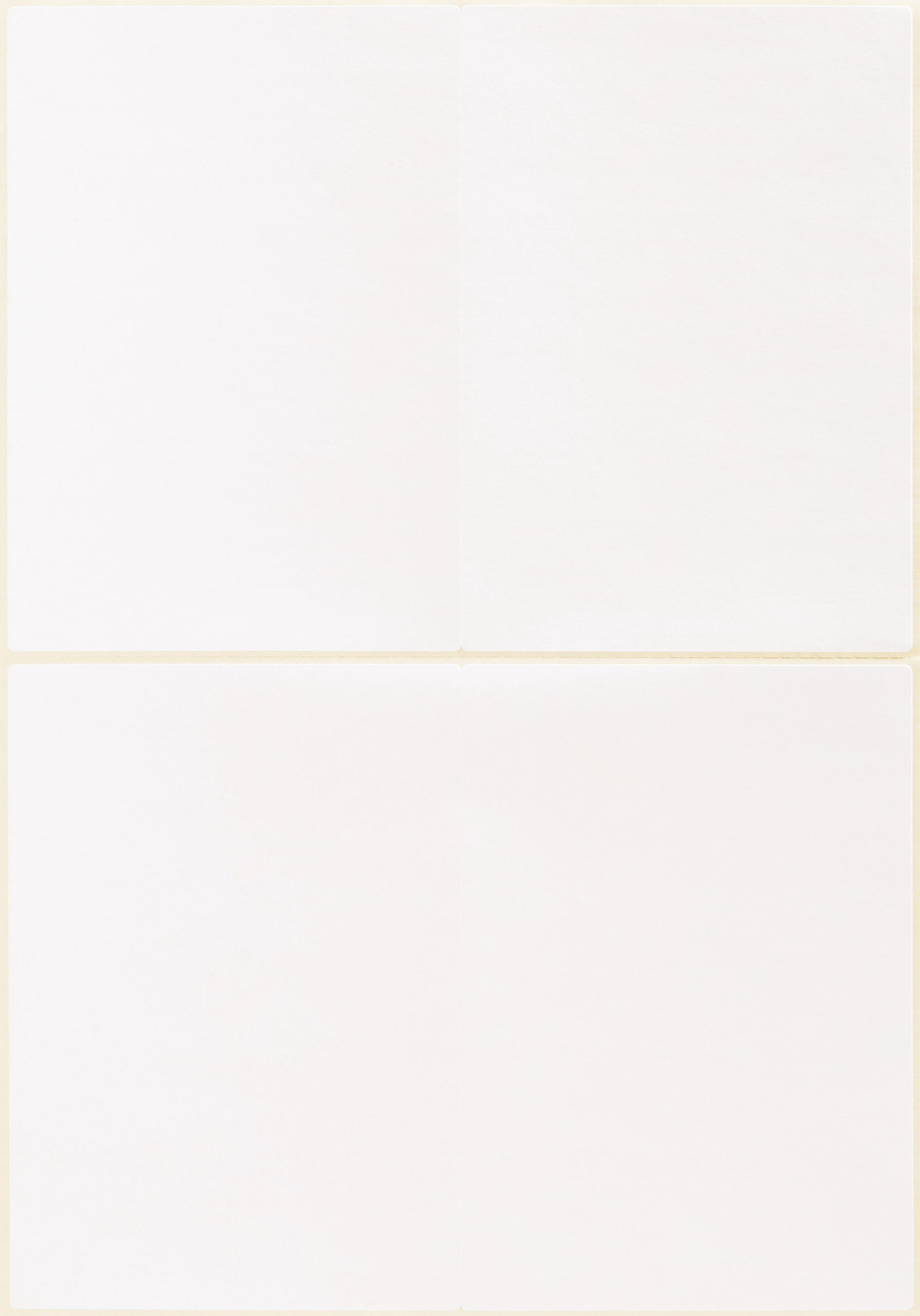 Etykiety adresowe białe Avery Zweckform; do drukarek igłowych; 80 etyk./op., 148 x 103 mm - obrazek 2