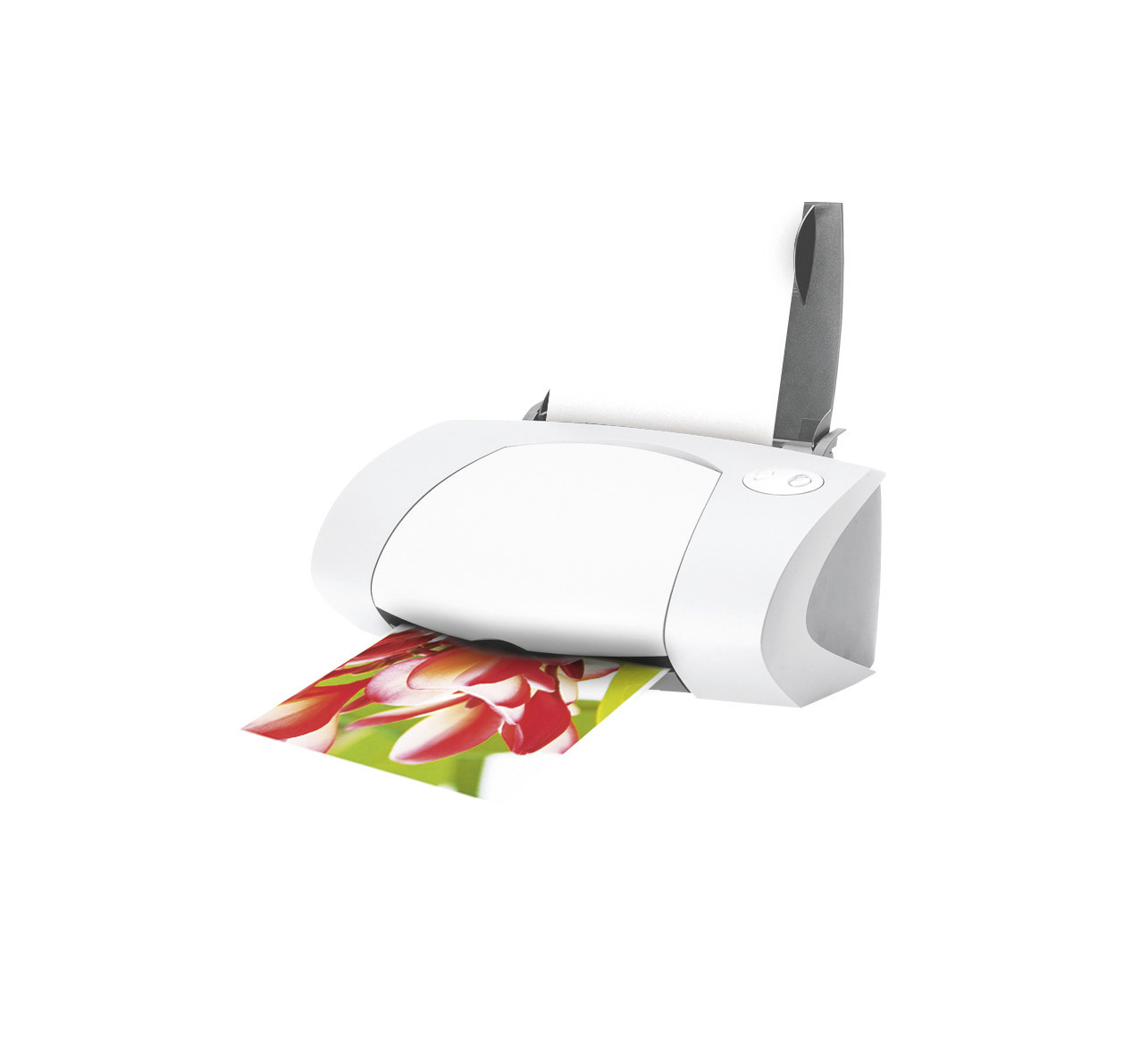 Papier fotograficzny Premium wysokobłyszczący, 250g, 100 x 150 mm, biały, Avery Zweckform - obrazek 2