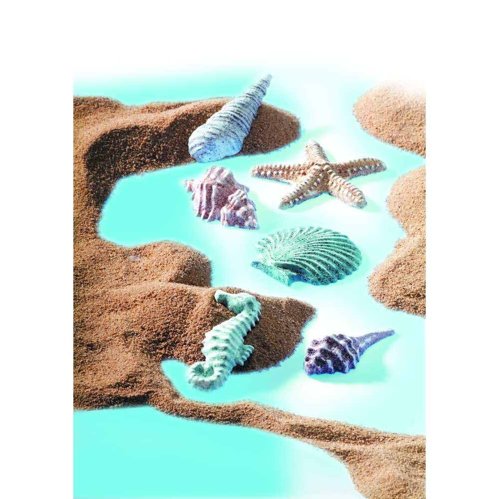 FIMO, Forma do odlewów, Muszle, 6 motywów S 8742 08 - obrazek 2