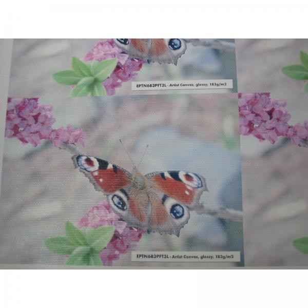 Logo Artist Canvas PRO imitacja płotna połysk biały A4 183 g m2 2800dpi 3 arkusze do drukarek atramentowych L - obrazek 3