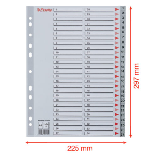 100109_05-2.jpg Przekładki plastikowe szare PP numeryczne A4 Esselte, 1-54
