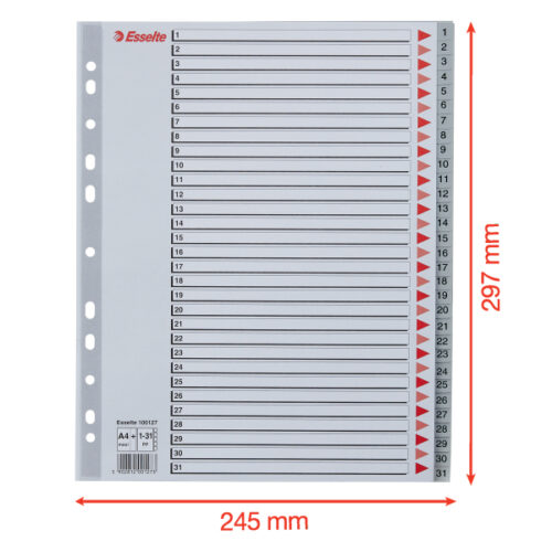100127_05-2.jpg Przekładki plastikowe szare PP alfabetyczne A4 Esselte, 1-31 maxi