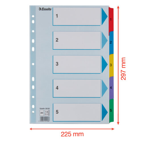 100160_05-2.jpg Przekładki kartonowe Mylar A4 Esselte, biały 1-5
