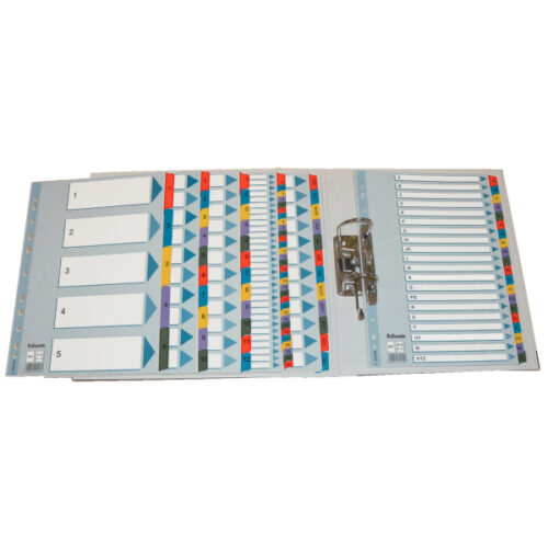 100160_06-2.jpg Przekładki kartonowe Mylar A4 Esselte, biały 1-5