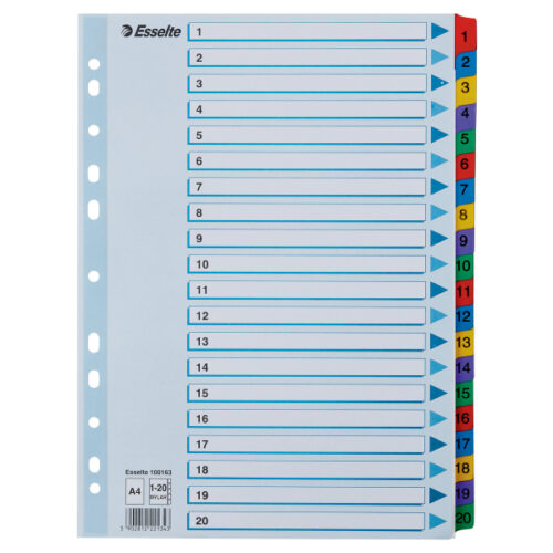 Przekładki kartonowe Mylar A4 Esselte, biały 1-20