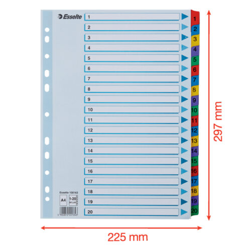 100163_06-2.jpg Przekładki kartonowe Mylar A4 Esselte, biały 1-20