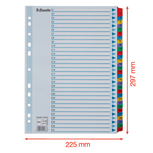100164_05-2.jpg Przekładki kartonowe Mylar A4 Esselte, biały 1-31