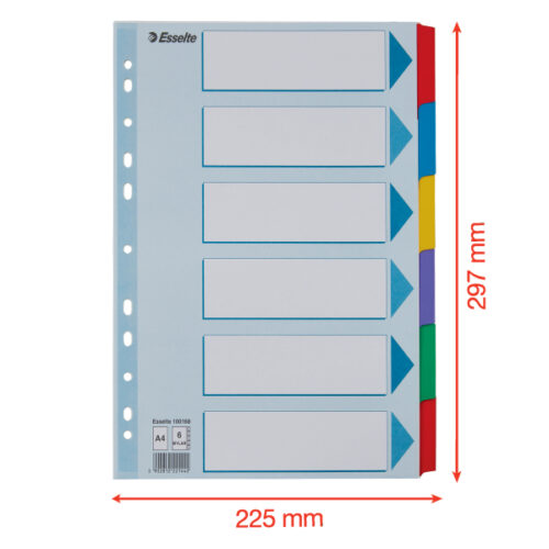 100168_05-2.jpg Przekładki, kolorowy karton, karta opisowa Mylar A4, Esselte, 6 kart