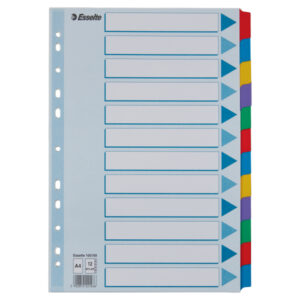 Przekładki, kolorowy karton, karta opisowa Mylar A4, Esselte, 12 kart