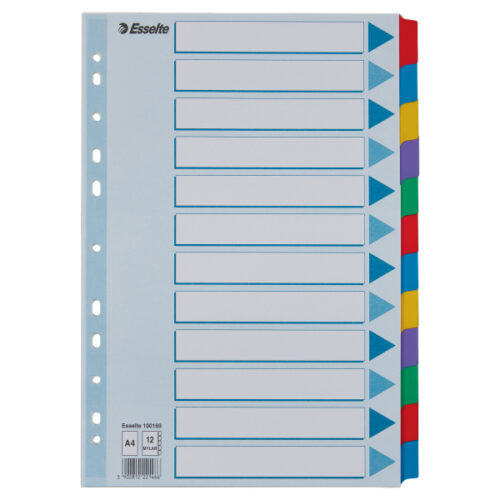 Przekładki, kolorowy karton, karta opisowa Mylar A4, Esselte, 12 kart