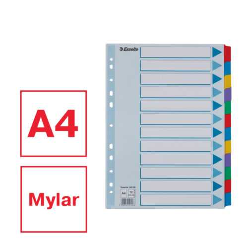 100169_01-2.jpg Przekładki, kolorowy karton, karta opisowa Mylar A4, Esselte, 12 kart