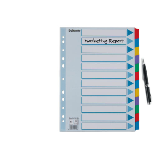 100169_03-2.jpg Przekładki, kolorowy karton, karta opisowa Mylar A4, Esselte, 12 kart