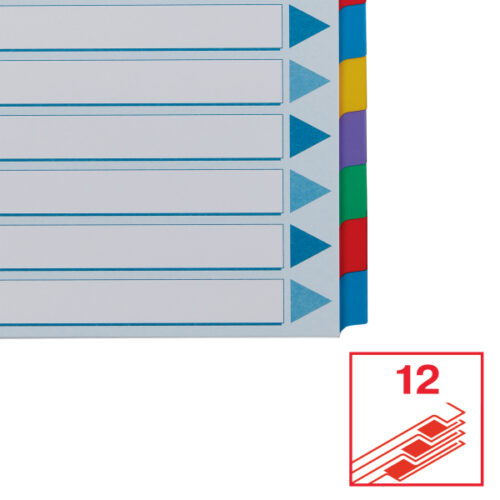 100169_04-2.jpg Przekładki, kolorowy karton, karta opisowa Mylar A4, Esselte, 12 kart