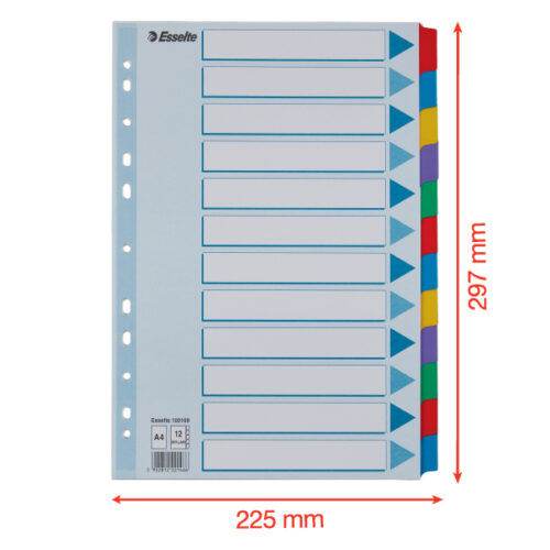 100169_05-2.jpg Przekładki, kolorowy karton, karta opisowa Mylar A4, Esselte, 12 kart
