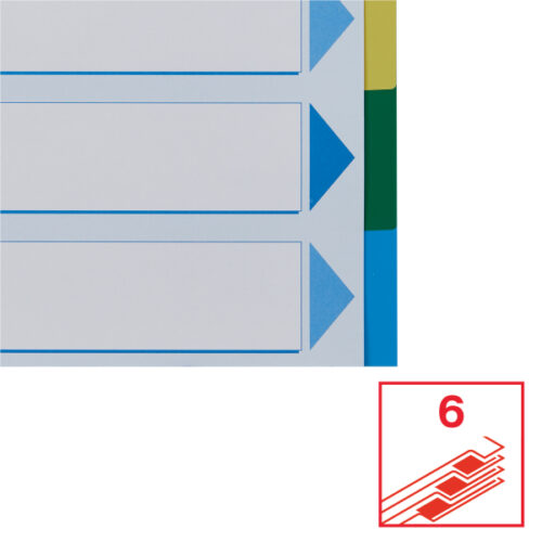 15260_04-2.jpg Przekładki plastikowe z PP A4 Esselte, 6 kart