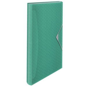 Teczka z przegródkami Esselte Colour'Breeze, 6 przegródek, zielony