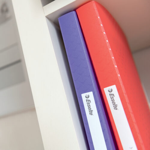 628443_03-1.jpg Album ofertowy Esselte Colour'Breeze, z 60 koszulkami, koralowy