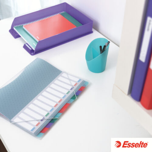 628443_n_01-1.jpg Album ofertowy Esselte Colour'Breeze, z 60 koszulkami, koralowy