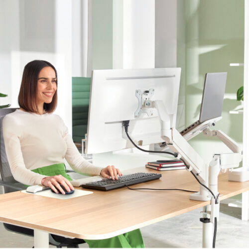 65380085_07.jpg Podwójne ramię Leitz Ergo do monitora i laptopa, jasnoszare
