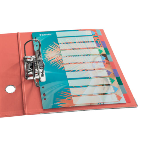 628500_02.jpg Przekładki Esselte Colour'Breeze PP A4, 10 przekładek